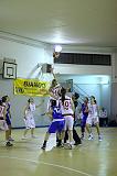 Basket C321007